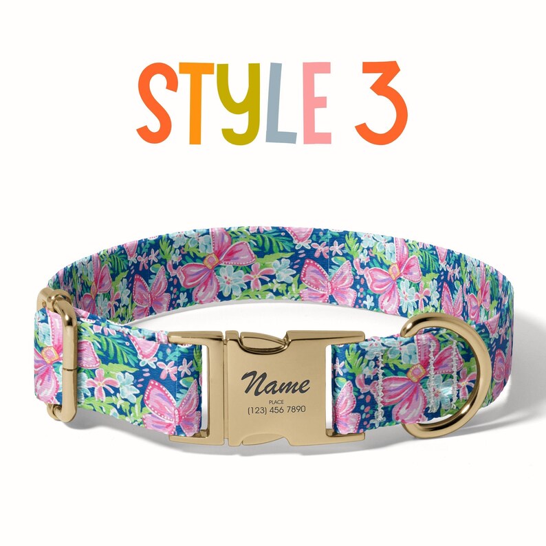 a dog collar with a name tag on it