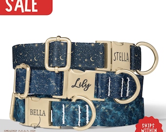 Starry Night Dog Collar Personalized Night Sky Dog Collar Name Girl Dog Collar Star Dog Collar Leash Set Engraved Dog Collar Dog Gift PP-113