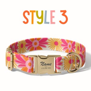 a dog collar with a name tag on it