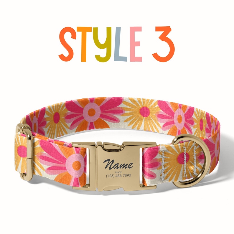 a dog collar with a name tag on it