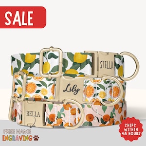 May include: Three personalized dog collars with fruit patterns. One collar features lemons, another oranges, and the third a pink background with oranges. Each collar has a gold-colored buckle and a name engraved on it. The word "SALE" is in the top left corner.
