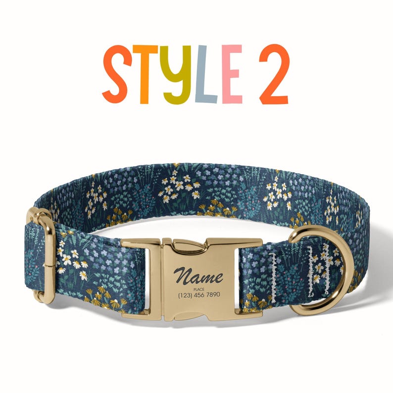 a dog collar with a name tag on it