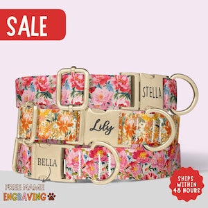 Personalized Dog Collar Vintage Roses Floral Dog Collar for Girl Custom Engraved Collar with Name Matching Leash Set Dog Gift PP-337