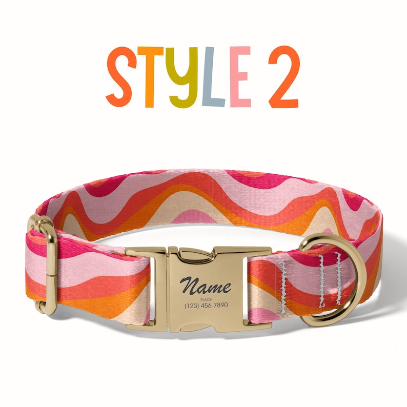 a dog collar with a name tag on it
