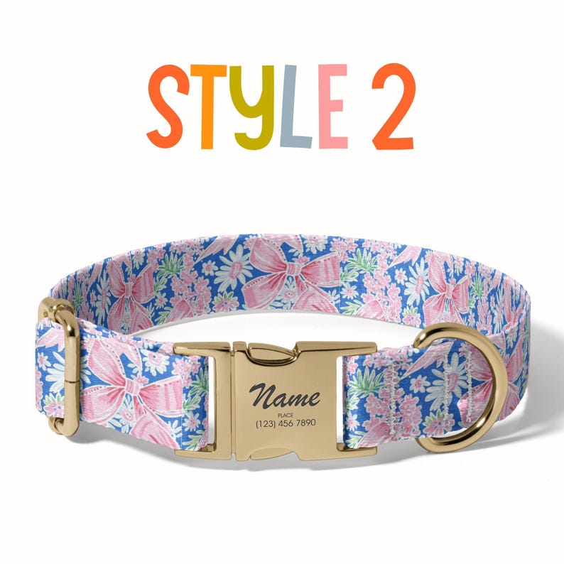 a dog collar with a name tag on it