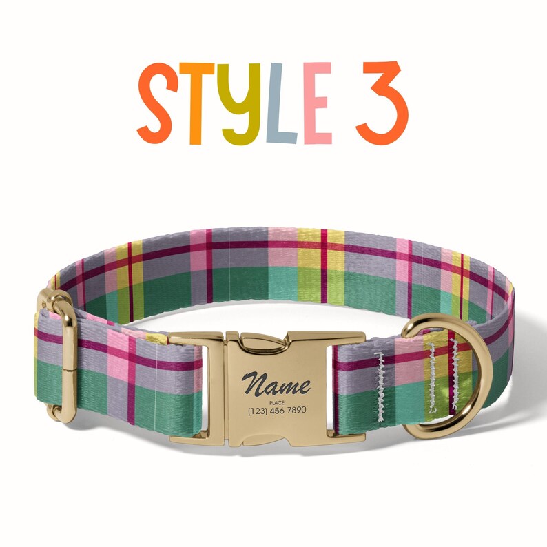 a dog collar with a name tag on it