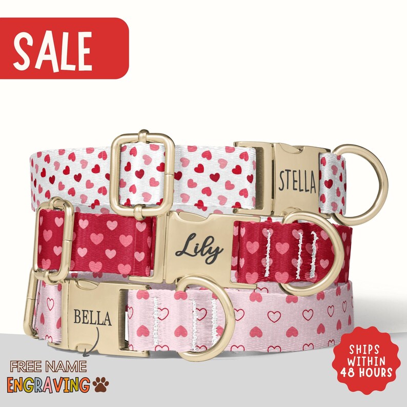 a dog collar with hearts and names on it