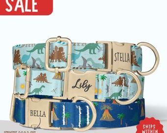 May include: Three dog collars with dinosaur patterns in blue and brown. Each collar has a gold-coloured buckle with a name engraved. The collars are stacked, displaying various designs and sizes. The image includes the word "SALE".