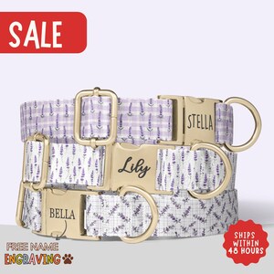 Lavender Dog Collar Personalized Purple Flower Dog Collar with Name Girl Dog Collar Spring Summer Collar Leash Set Engraved Collar PP-114