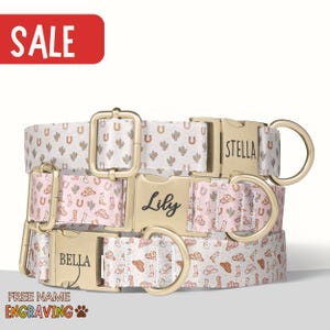Cowgirl Dog Collar Western Girl Dog Collar Country Themed Girl Dog Collar Boho Dog Collar Gift for Dog Custom Matching Leash Set Name PP-05