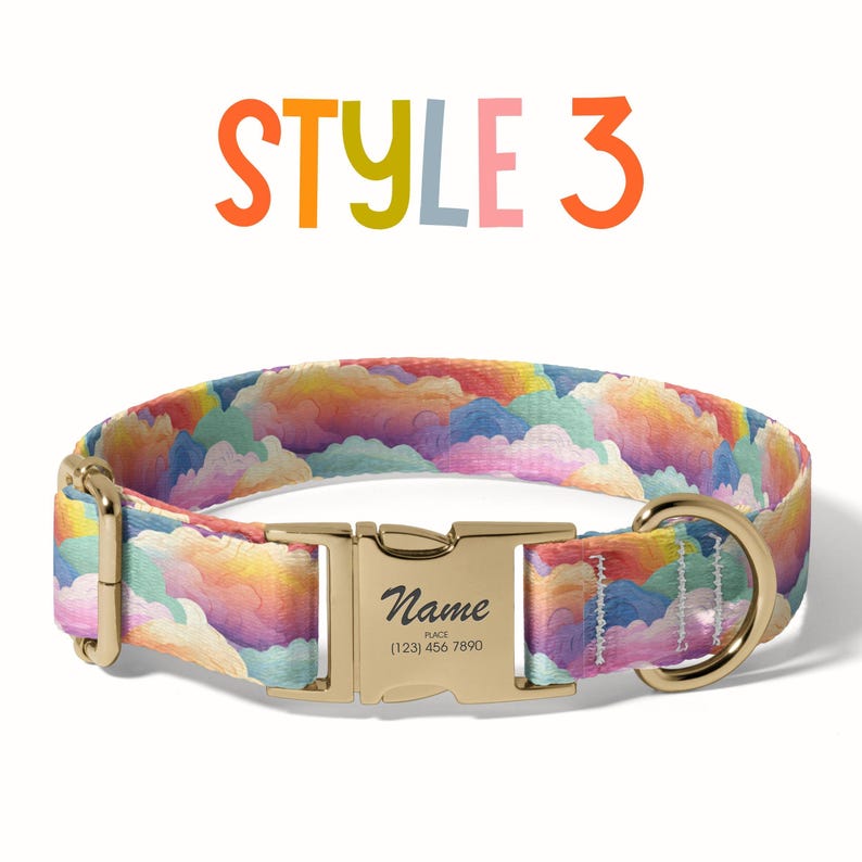 a dog collar with a name tag on it