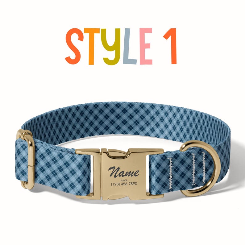 a dog collar with a name tag on it