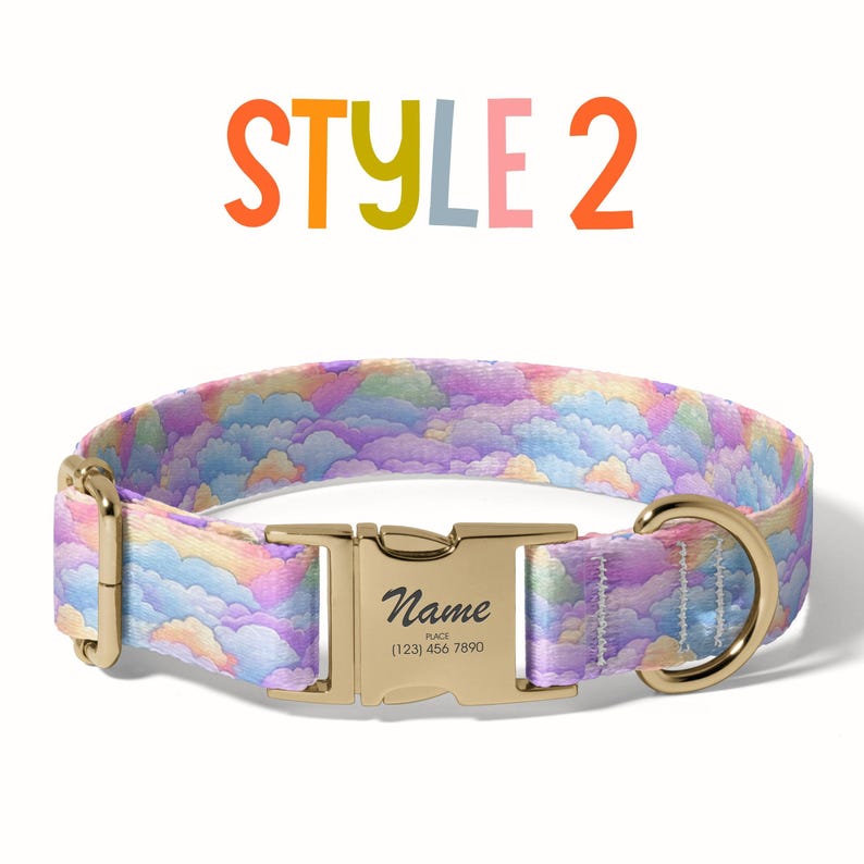 a dog collar with a name tag on it