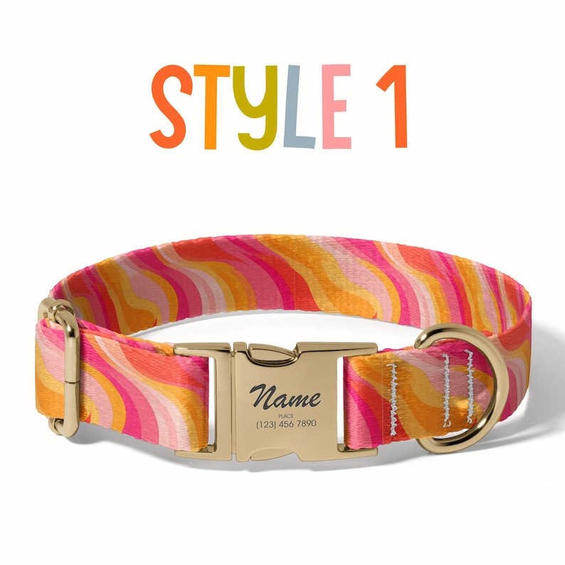 a dog collar with a name tag on it