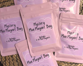 Mini Magnet Mystery Bag, Gift Idea, Fridge Magnets, Surprise Grab Bag