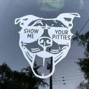 May include: White vinyl sticker of a dog wearing sunglasses with the text "Show Me Your Pitties".
