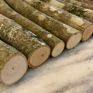 Organic HICKORY Logs 10” Length - Bundle of 10 - Wood Sticks - Eco-Friendly HICKORY Stick Logs - All Natural Craft Sticks - DIY Centerpiece