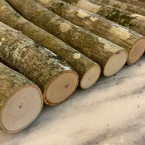 Round Non Polished Hickory Wood Logs, for Making Furniture