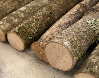 Organic ASH Logs 10” Length - Bundle of 10 - Wood Sticks - Eco-Friendly ASH Stick Logs - All Natural Craft Sticks - DIY Centerpiece
