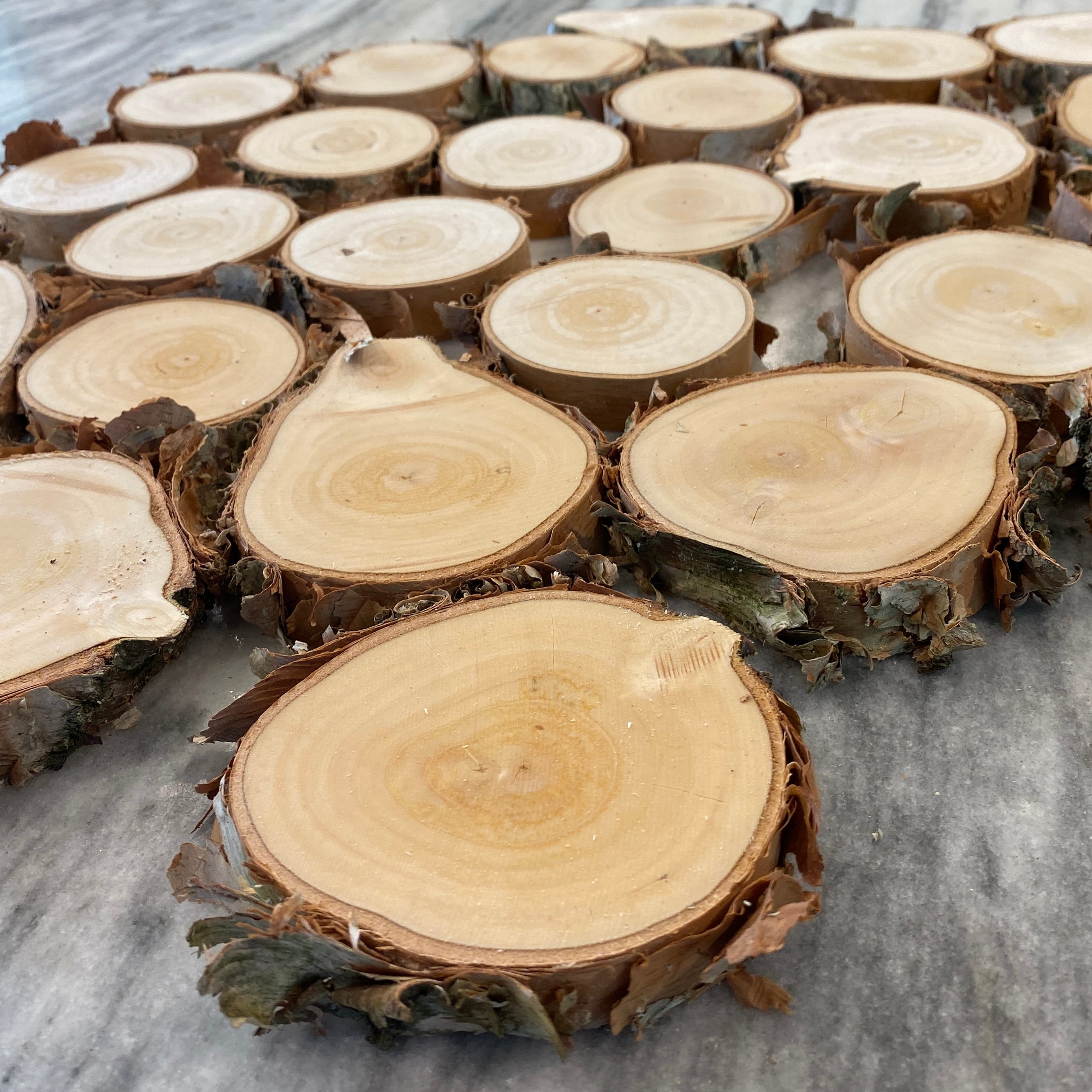 ORGANIC BIRCH Wood Slices - Live Edge Wood Rounds - Wood Disc ...