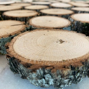 Tree Slices 12 Ct, Mini Wooden Circles 1.25 2.25 In, Small Wood Slices,  Bulk Wood Slices, Rustic Wooden Circles for Crafts 