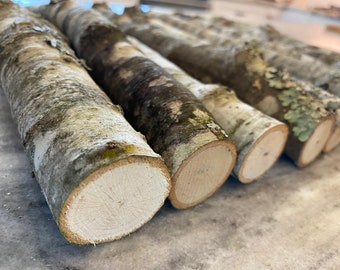 Organic OAK Logs 10” Length - Bundle of 10 - Wood Sticks - Eco-Friendly Oak Stick Logs - All Natural Craft Sticks - DIY Centerpiece