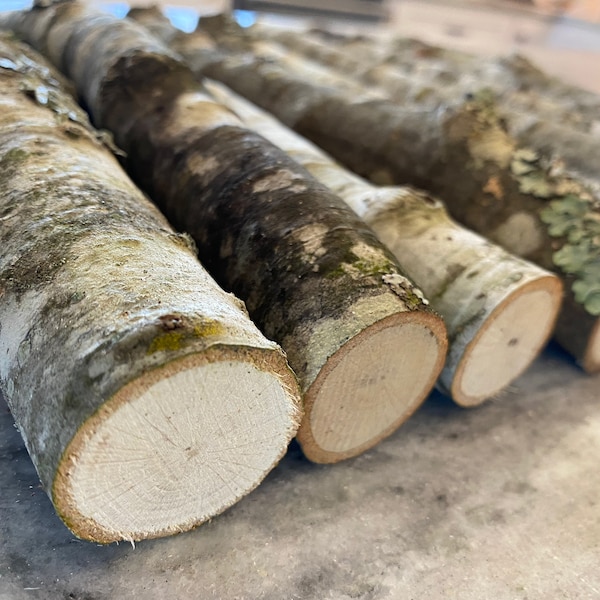 Organic OAK Logs 10” Length - Bundle of 10 - Wood Sticks - Eco-Friendly Oak Stick Logs - All Natural Craft Sticks - DIY Centerpiece