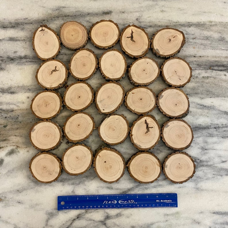 ORGANIC Ash Wood Slices Live Edge Wood Rounds Wood Disc Etsy