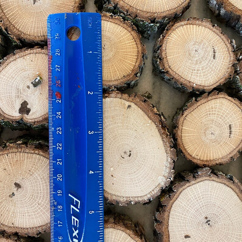 ORGANIC Oak Wood Slices Live Edge Wood Rounds Wood Disc Assorted Sizes