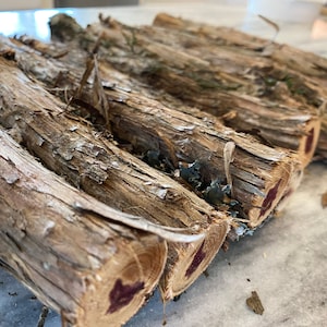 Cedar Limbs - Etsy
