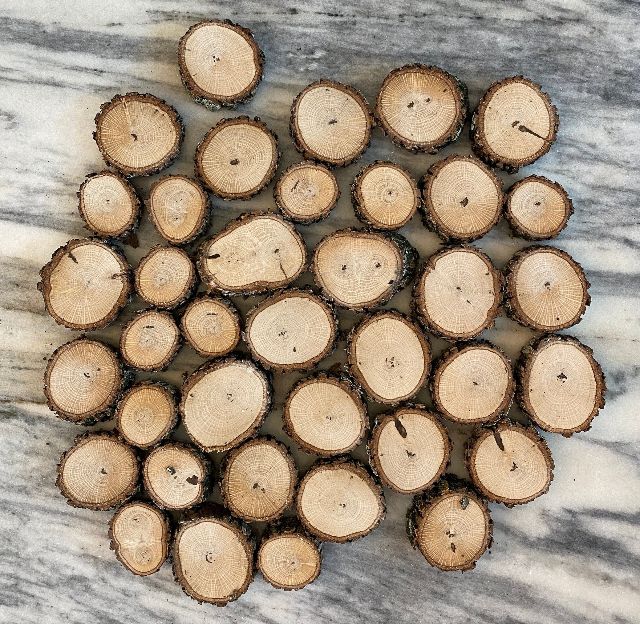 ORGANIC Oak Wood Slices Live Edge Wood Rounds Wood Disc Assorted Sizes