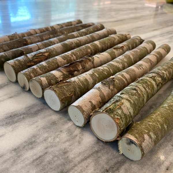 Organic BIRCH Logs 10” Length - Bundle of 10 - Wood Sticks - Eco-Friendly Pine Stick Logs - All Natural Craft Sticks - DIY Centerpiece