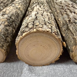May include: Several cylindrical wooden logs with rough, textured brown bark and smooth, light tan circular cross-sections showing visible growth rings. The logs are arranged side by side, displaying the natural grain and texture of the wood.