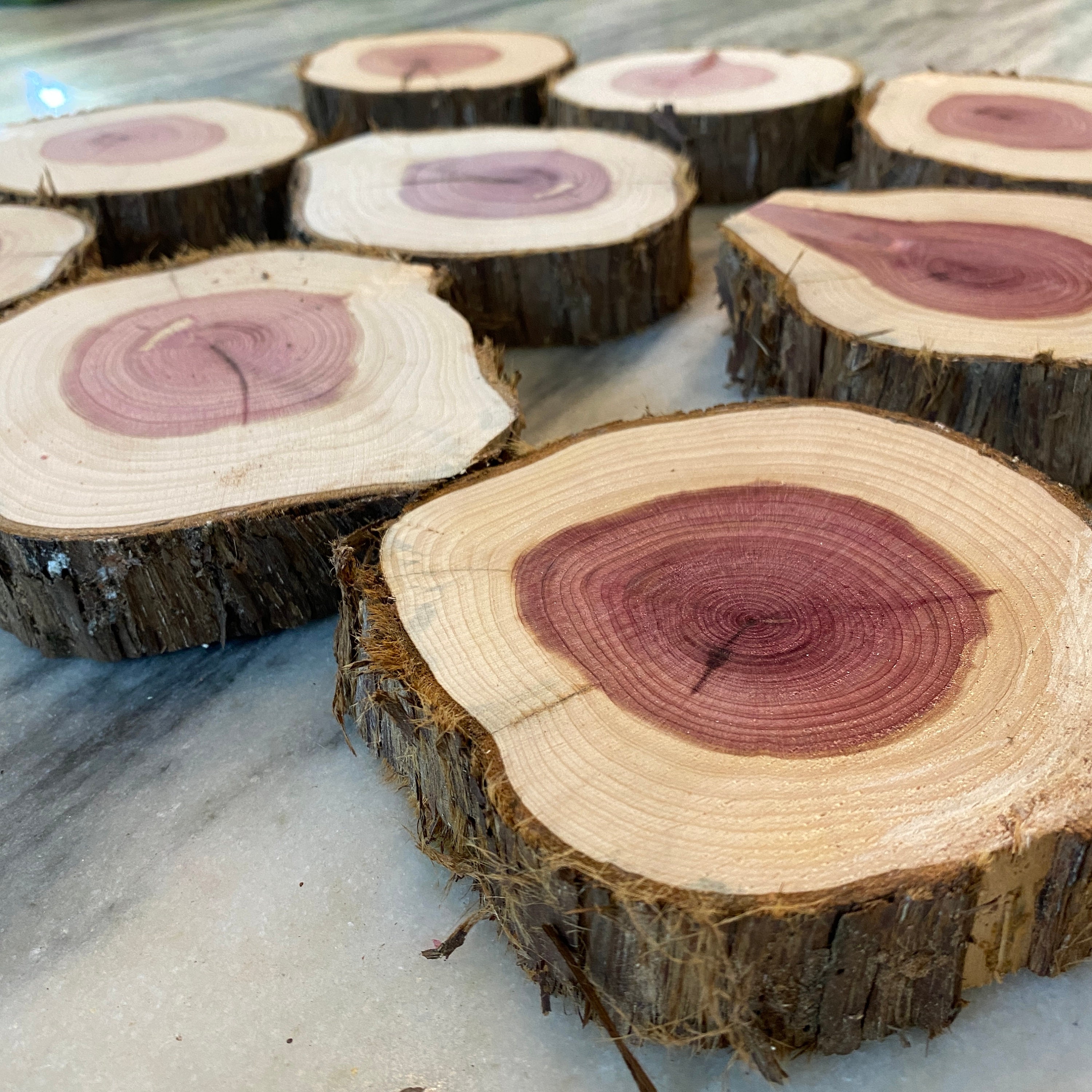 ORGANIC Red Cedar Wood Slices Live Edge Wood Rounds Wood Disc Assorted  Sizes Raw Wood Circles Rustic Decor Bulk Wood 