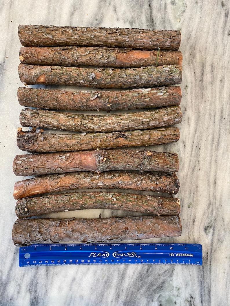Organic PINE Logs 10 Length Bundle of 10 Wood Sticks Ecofriendly Pine