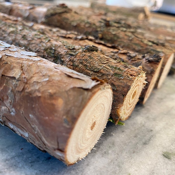 Organic PINE Logs 10” Length - Bundle of 10 - Wood Sticks - Eco-Friendly Pine Stick Logs - All Natural Craft Sticks - DIY Centerpiece