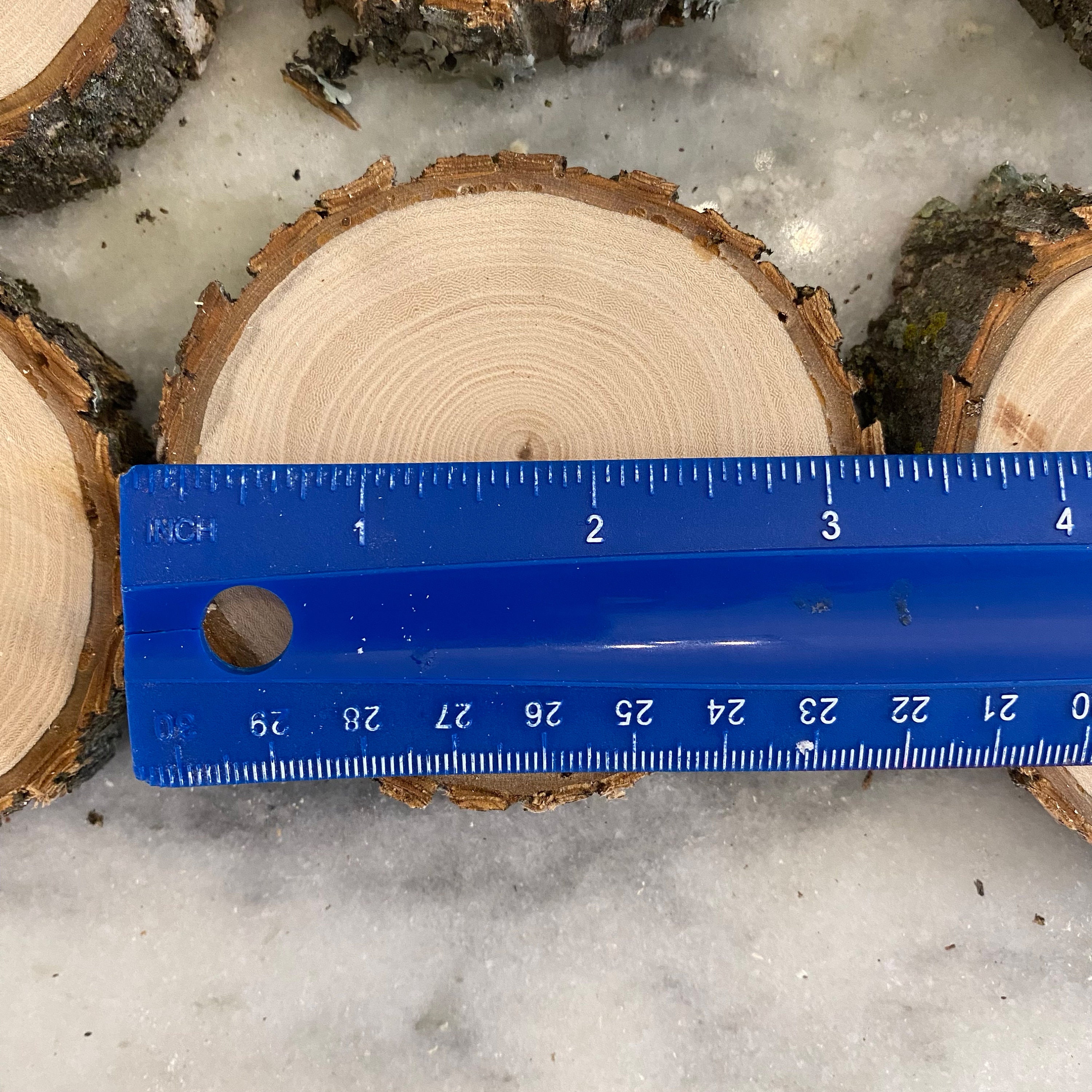 ORGANIC Ash Wood Slices Live Edge Wood Rounds Wood Disc Etsy