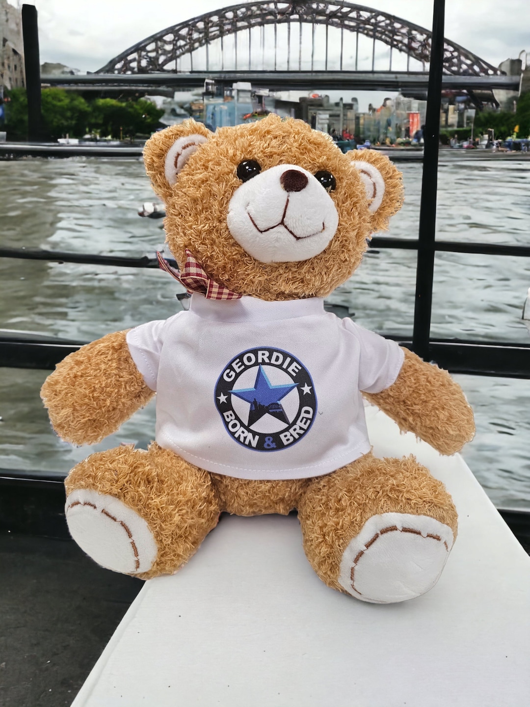 Newcastle Geordie Born and Bred Teddy Bear - Etsy UK