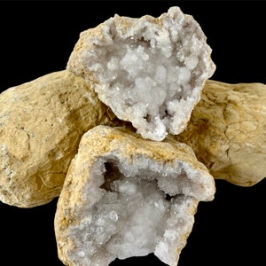 May include: Four rough, beige geodes with a crystalline interior are displayed against a black background. Two geodes are cut open, revealing a sparkling, white crystal formation inside. The outer shells have a rough, textured appearance.