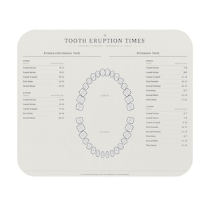 May include: A cream-colored chart with the title "TOOTH ERUPTION TIMES" and diagrams of teeth. The chart lists eruption times for primary and permanent teeth, including incisors, canines, and molars. The text is in black.