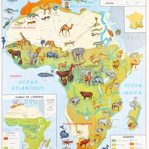 Vintage School Poster World Maps - Africa Wildlife - Poster per decorazioni murali A3+ (32 x 45 cm).