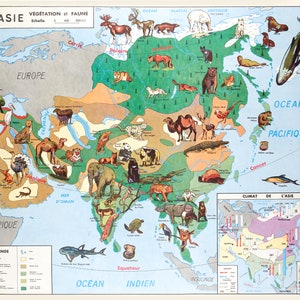Affiche Vintage Scolaire  Cartes du monde - Asie Faune - Poster Décoration Murale A3+ (32 x 45 cm).