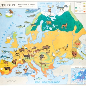 Affiche Vintage Scolaire  Cartes du monde - Europe Faune - Poster Décoration Murale A3+ (32 x 45 cm).