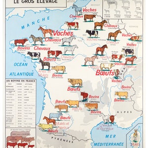 Affiche Vintage Scolaire  Cartes de France - France élevage - Poster Décoration Murale A3+ (32 x 45 cm).