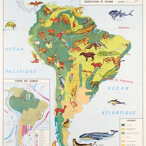 Vintage School Poster World Maps - Sud America Wildlife - Poster per Decorazione Murale A3+ (32 x 45 cm).