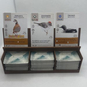 Exhibición de tarjetas de envergadura