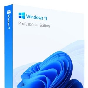 Windows 11 Professional OEM Key