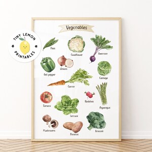 Cartel de verduras de acuarela. Cartel educativo de verduras. Decoración del aula. DESCARGA DIGITAL. cartel Montessori. Decoración infantil educativa.