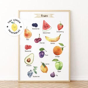 Watercolour Fruits Poster. Fruit chart Educational poster. Clasroom decor. DIGITAL DOWNLOAD. Montessori poster. Educational nursery decor