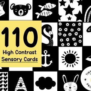 TinyTracker™ High Contrast Cards  6 Spill-Proof Black and White Visio –  The TinyTracker